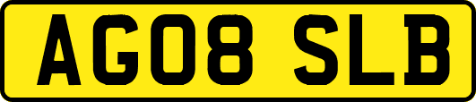 AG08SLB