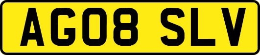 AG08SLV