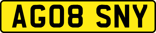 AG08SNY