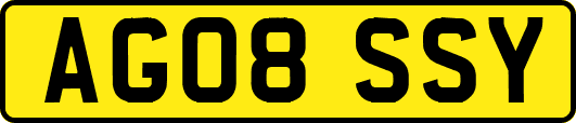 AG08SSY