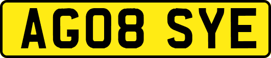 AG08SYE