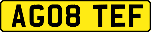 AG08TEF