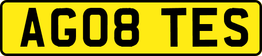 AG08TES