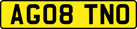 AG08TNO