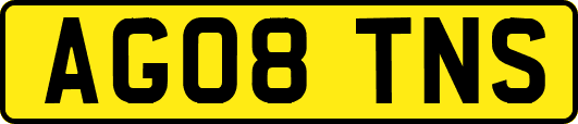 AG08TNS