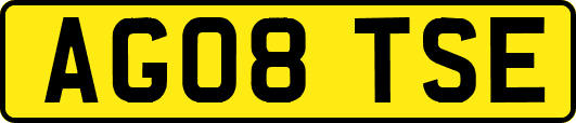 AG08TSE