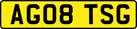 AG08TSG