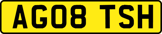 AG08TSH