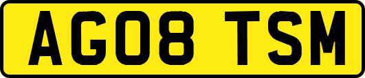 AG08TSM
