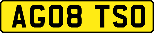AG08TSO