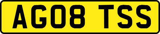 AG08TSS