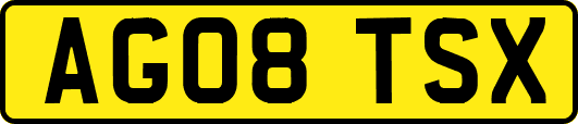 AG08TSX