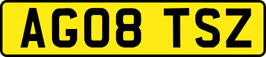 AG08TSZ