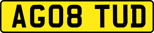AG08TUD