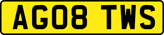 AG08TWS