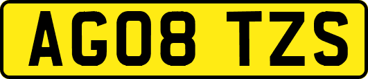 AG08TZS