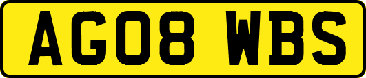 AG08WBS