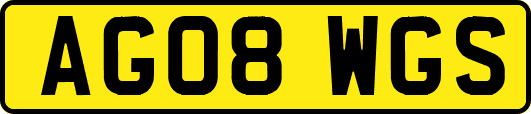 AG08WGS