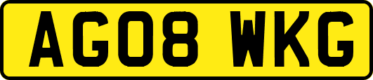 AG08WKG