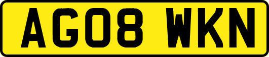 AG08WKN