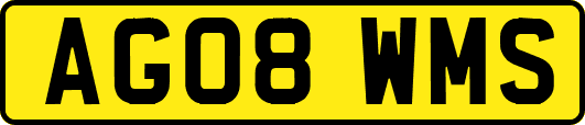AG08WMS
