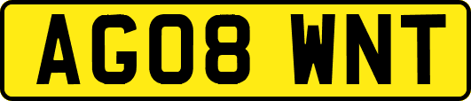 AG08WNT