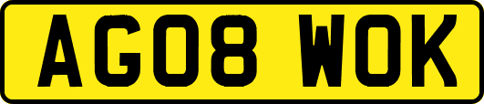 AG08WOK