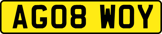 AG08WOY