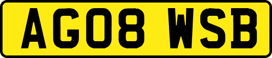 AG08WSB