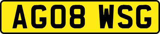 AG08WSG