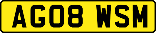 AG08WSM