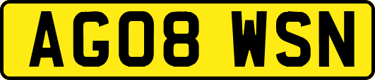 AG08WSN