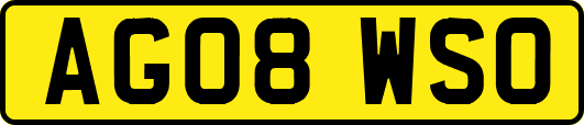 AG08WSO