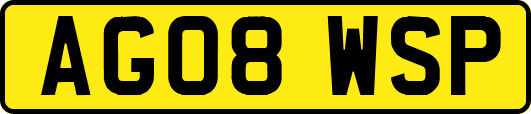 AG08WSP