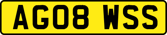 AG08WSS