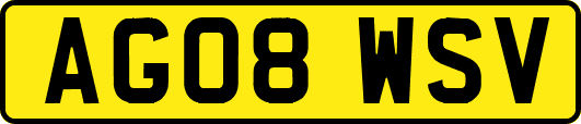 AG08WSV