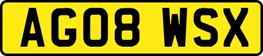 AG08WSX