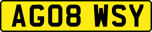 AG08WSY