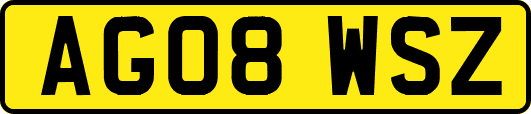 AG08WSZ