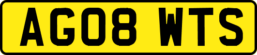 AG08WTS