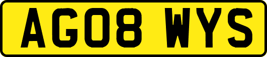 AG08WYS