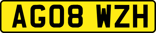 AG08WZH