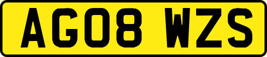 AG08WZS