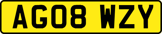 AG08WZY