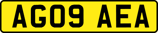 AG09AEA