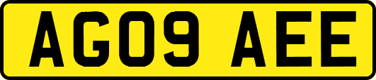 AG09AEE