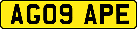 AG09APE