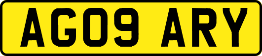 AG09ARY