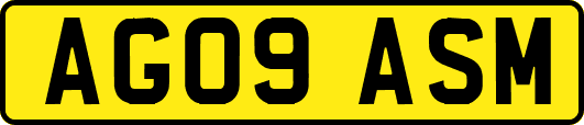 AG09ASM