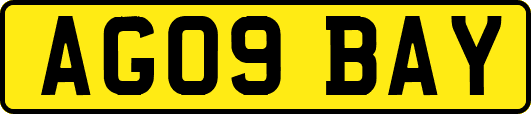 AG09BAY
